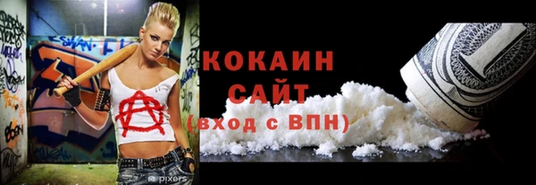 шишки Алексин