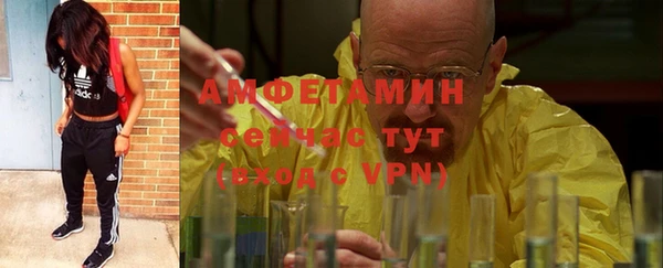 шишки Алексин