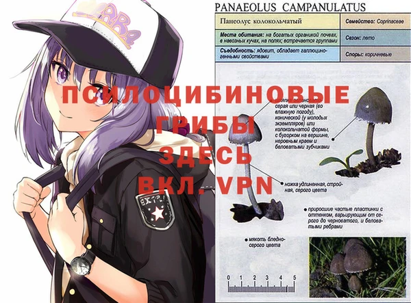 мефедрон мука Алзамай