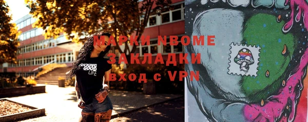 шишки Алексин