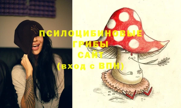 шишки Алексин