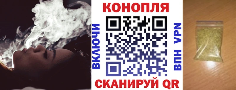 Шишки марихуана OG Kush Мышкин